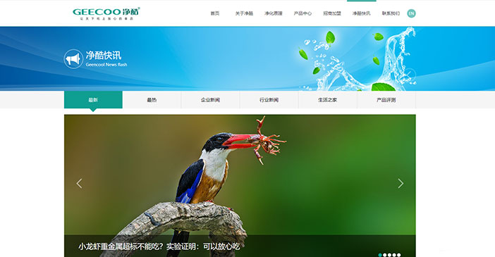 維度時空網(wǎng)站建設公司